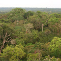 Selva Amaznica